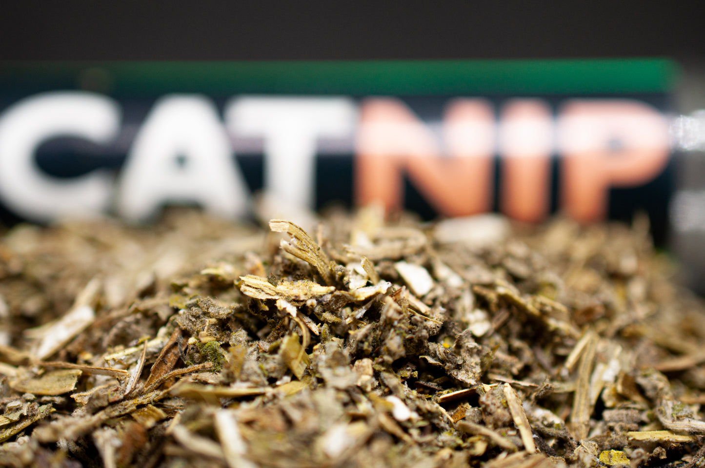 CATNIP