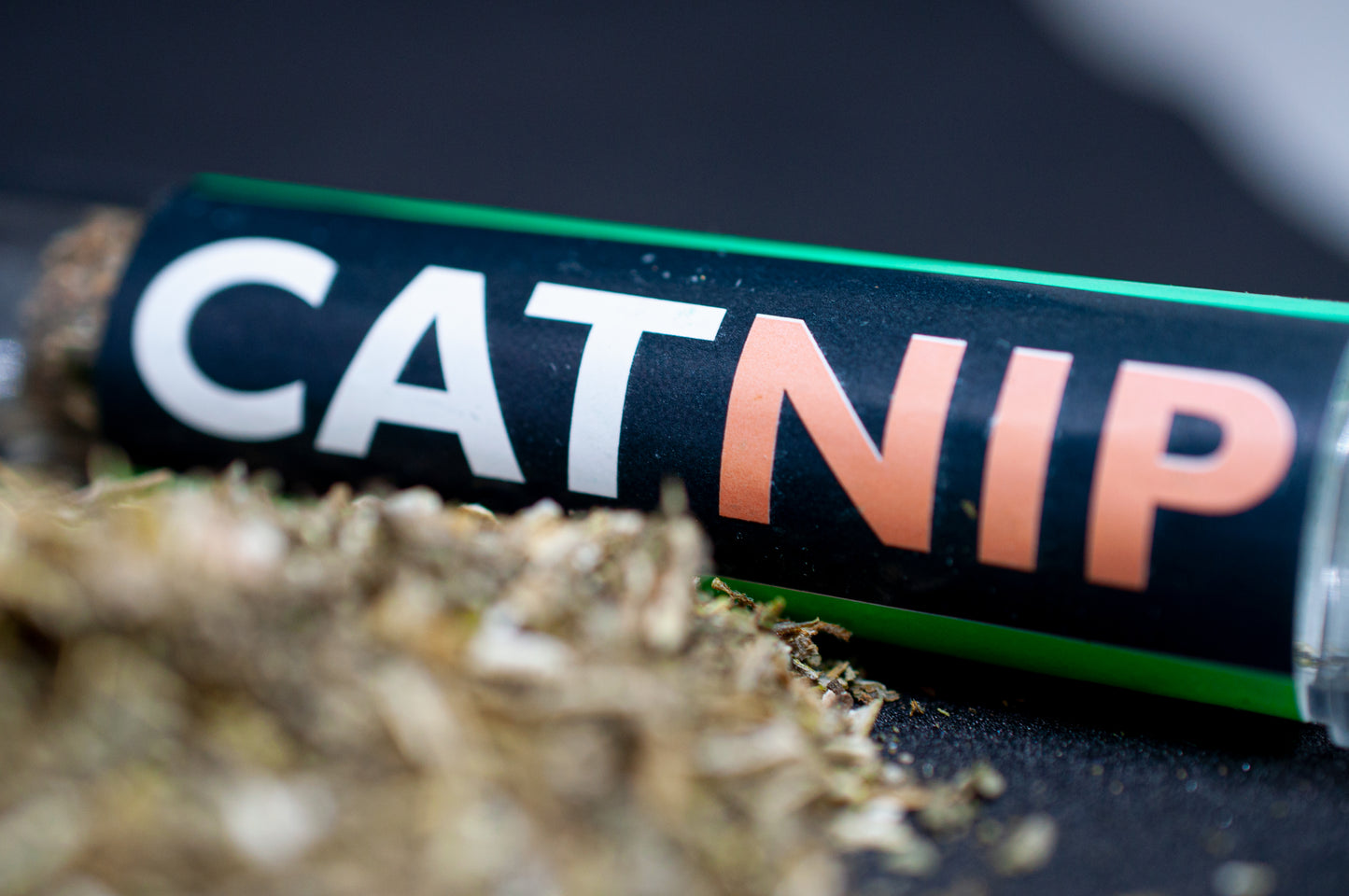 CATNIP
